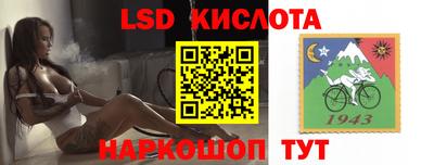 шишки Моздок