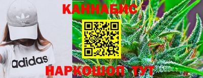 мдпв Можга